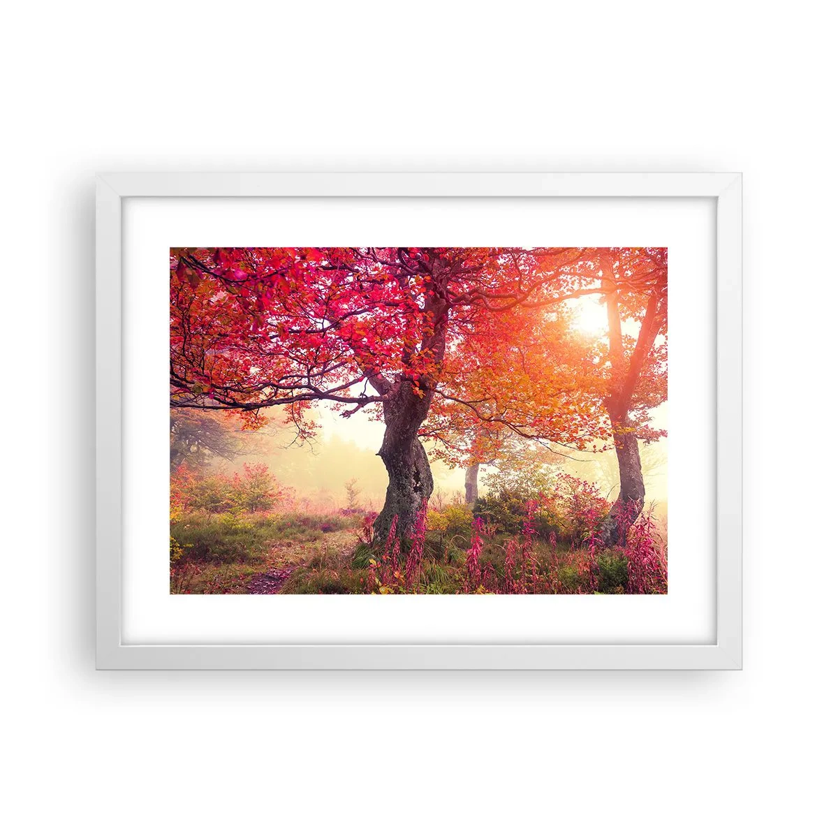 Plakat w białej ramie - Szał rozkwitu - 40x30 cm