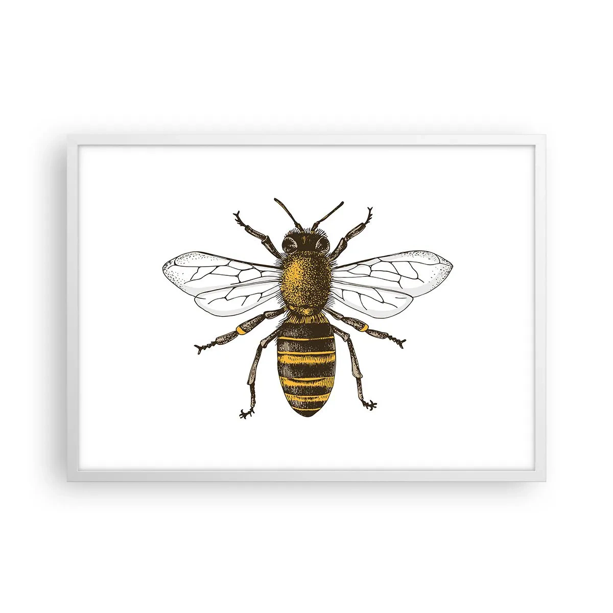 Plakat w białej ramie - Piękna i dobra - 70x50 cm