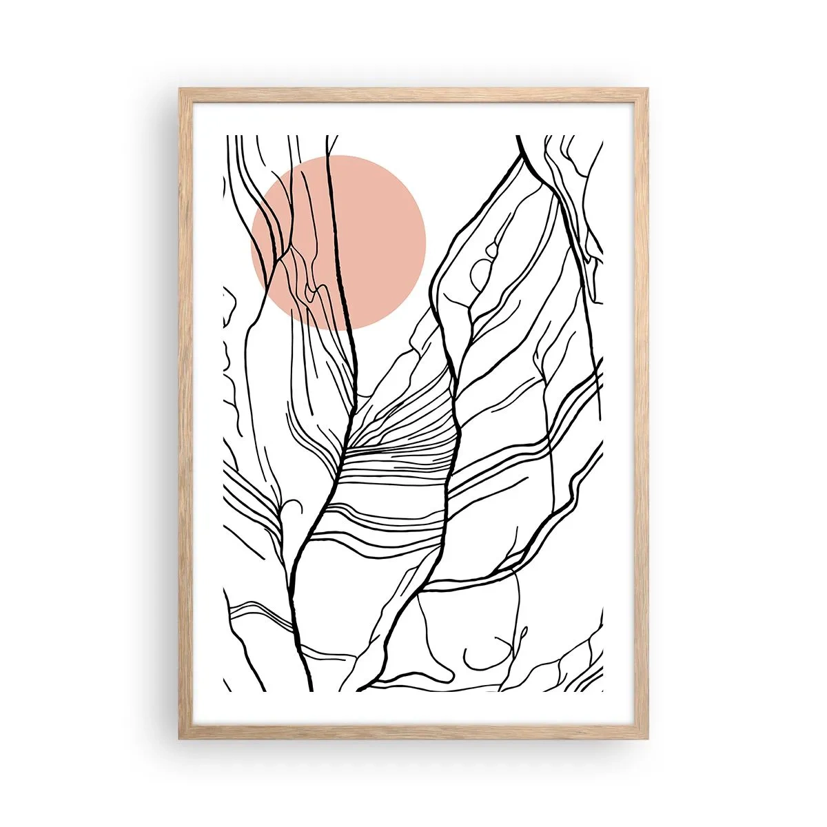 Plakat w ramie jasny dąb - W sieci gałązek - 50x70 cm