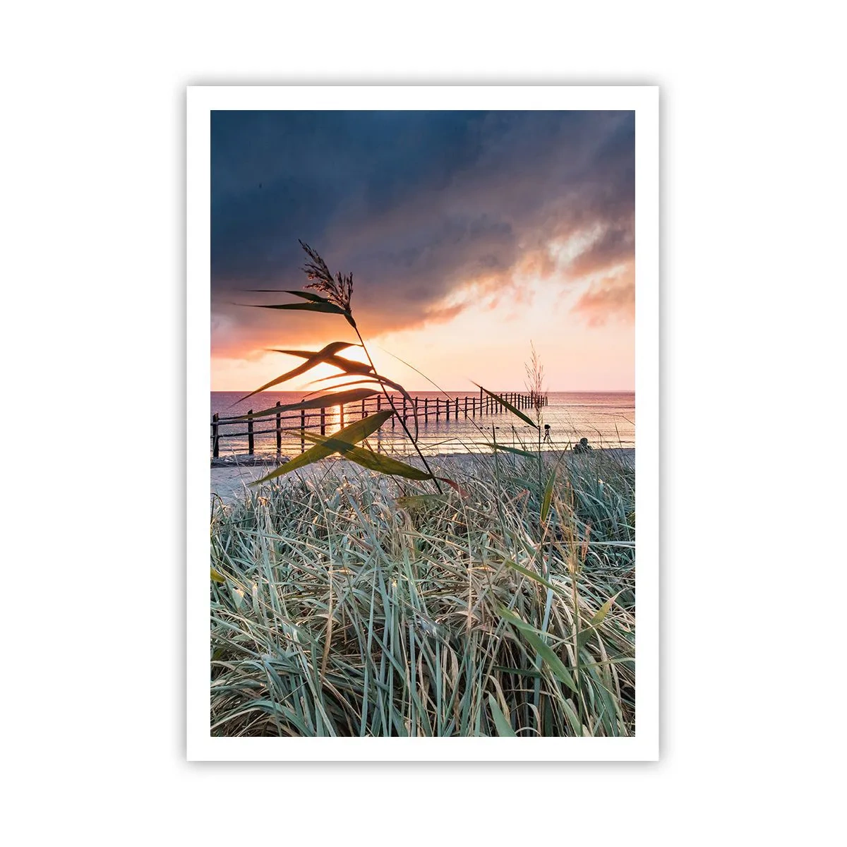 Plakat - Nie przemija z wiatrem - 70x100 cm