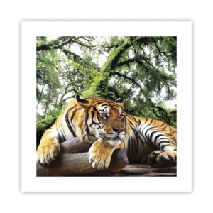 Plakat - Z wyrazami szacunku - 40x40 cm