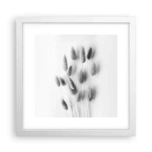 Plakat w białej ramie - Jej puszystość trawa - 30x30 cm
