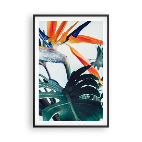 Plakat w czarnej ramie - Ptakokrzak - 61x91 cm