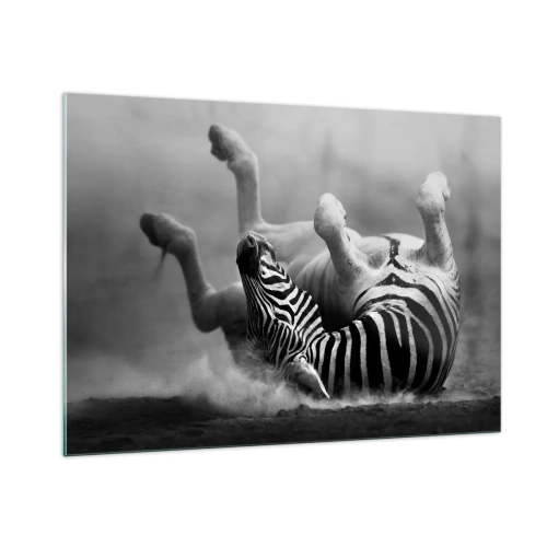 Obraz na szkle - Zebra w leżącej pozie na afrykańskiej sawannie - 100x70cm - Nie tylko koń by się uśmiał - Nowoczesna dekoracja ścienna do salonu, kuchni i sypialni ARTTOR