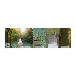 Fototapeta Próbka Premium Canvas - Nad lazurową wodą do lazurowego lasu - Krajobraz , Dżungla, Drewniany Most - 100x30 cm