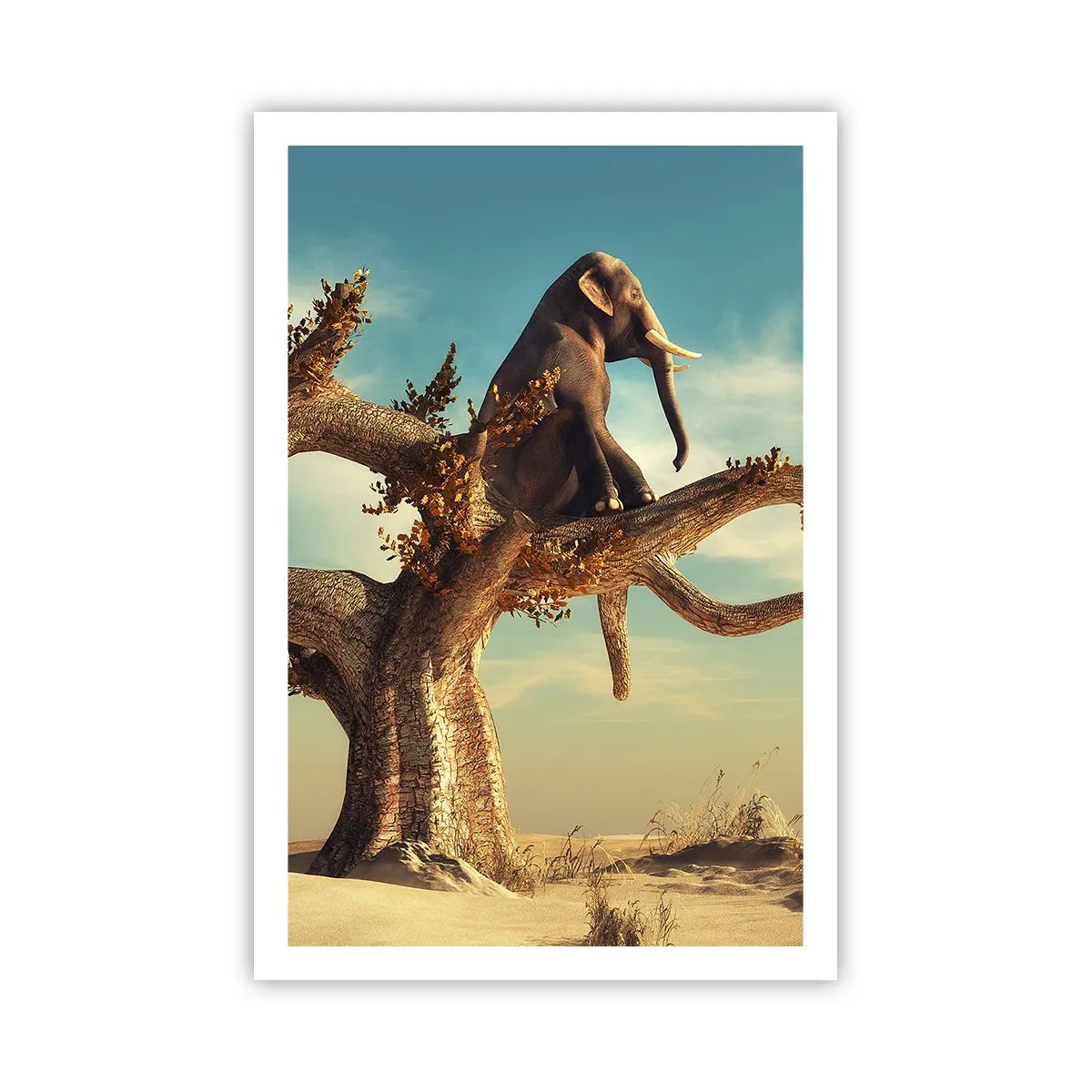 Plakat - Nowy punkt widzenia - 61x91 cm