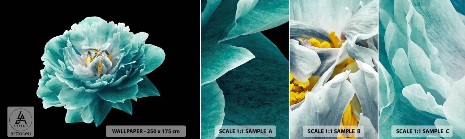Fototapeta Próbka Samoprzylepna Deluxe Sticker - Płatki błękitne i złote - Kwiat, Kwitnący, Piwonia - 100x30 cm