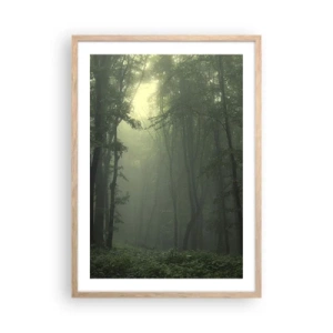 Plakat w ramie jasny dąb - Zanim się obudzi - 50x70 cm