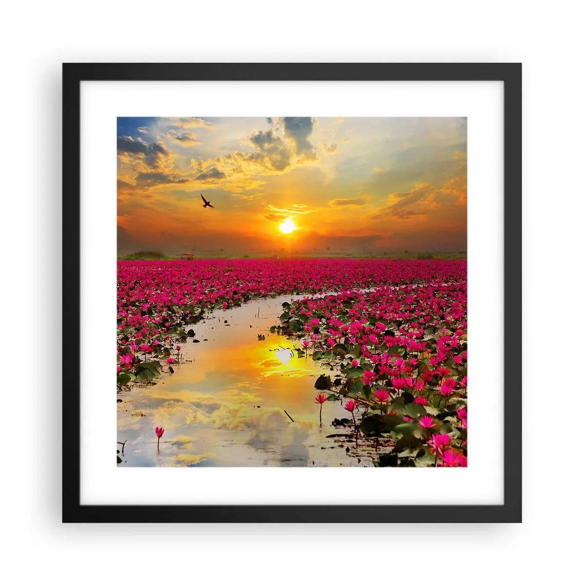 Plakat w czarnej ramie - Tajemne życie jeziora - 40x40 cm