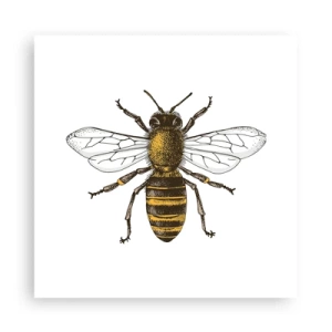 Plakat - Piękna i dobra - 30x30 cm