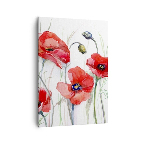 Obraz na płótnie - Akwarelowe maki na białym tle - 50x70cm - Kwiaty polskie - Nowoczesna dekoracja ścienna do salonu, kuchni i sypialni ARTTOR