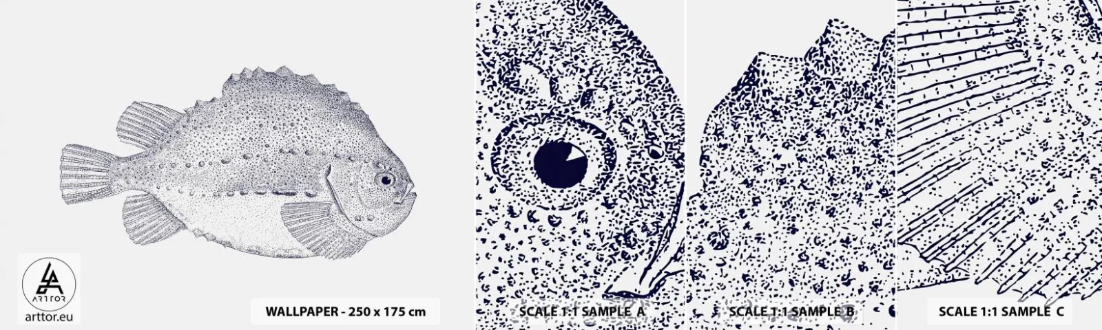 Fototapeta Próbka Standard Eco - Do albumu przyrodnika - Ryba, Morski, Ocean - 100x30 cm