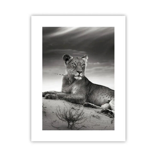 Plakat - Odpoczynek królowej pustyni - 30x40 cm