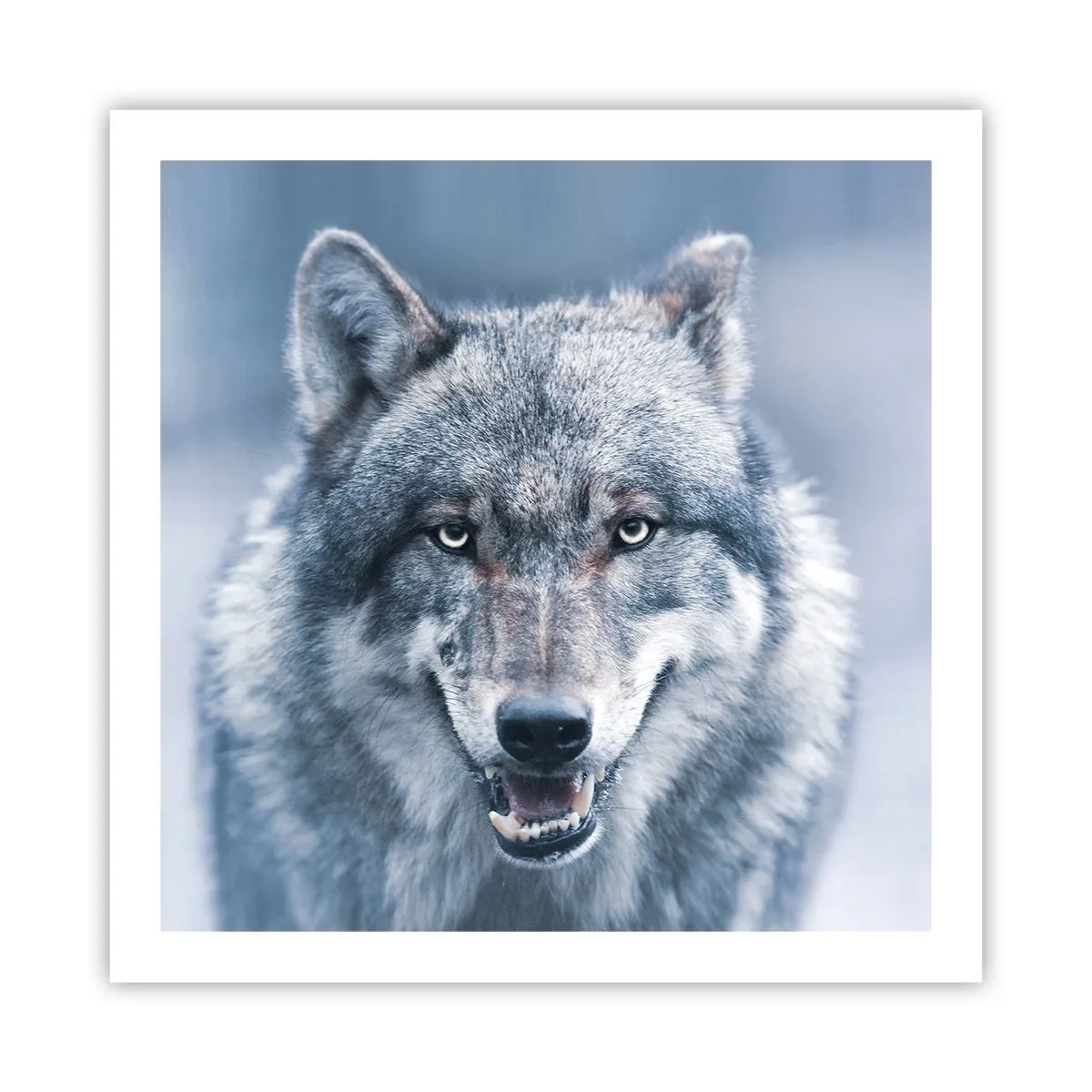 Plakat - Podejmiesz wyzwanie? - 60x60 cm
