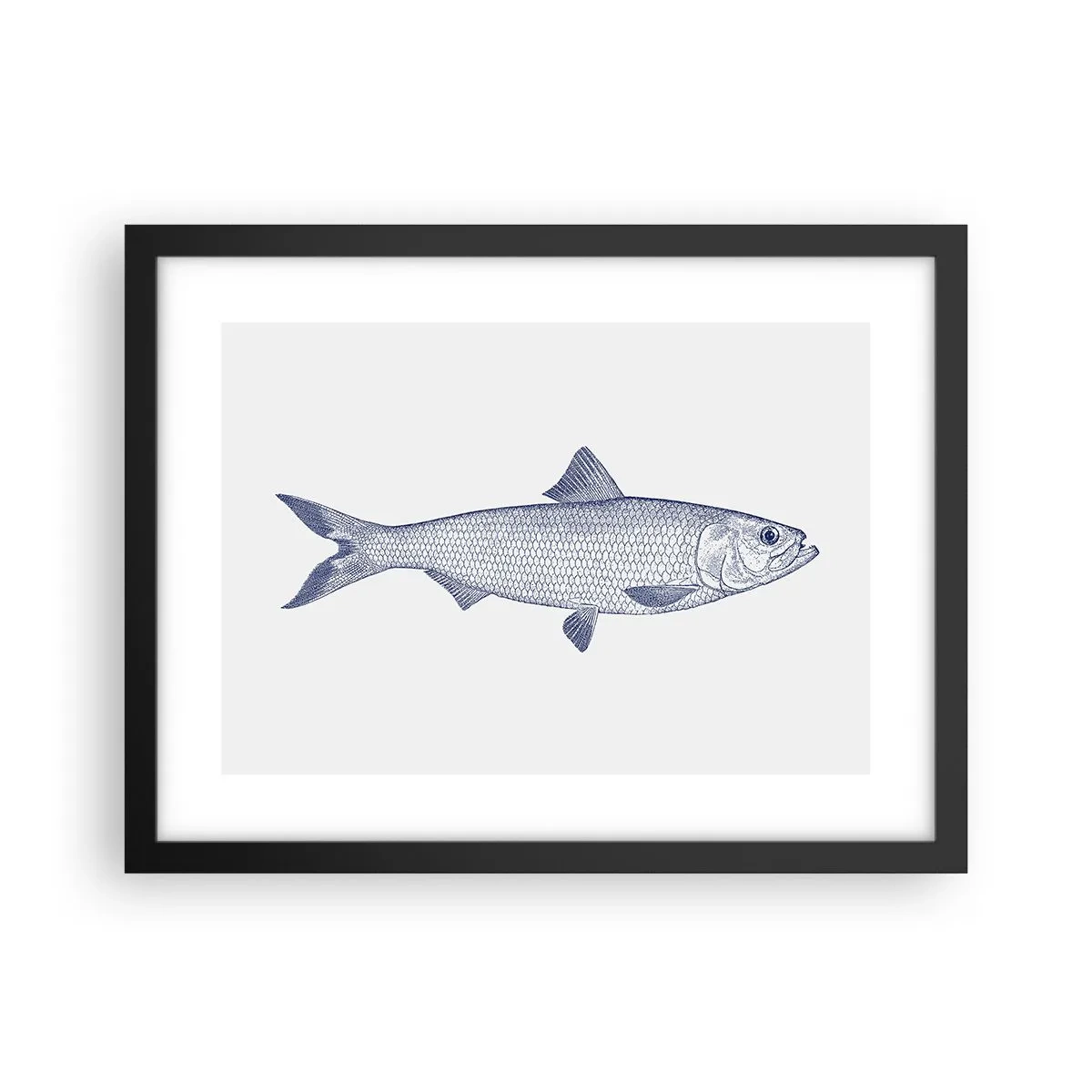 Plakat w czarnej ramie - Pozdrowienia z północnych mórz - 40x30 cm