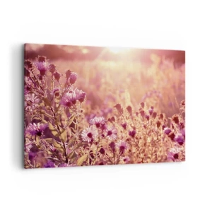 Obraz na płótnie - Łąka w świetle zachodzącego słońca - 120x80cm - Przed odejściem lata - Nowoczesna dekoracja ścienna do salonu, kuchni i sypialni ARTTOR