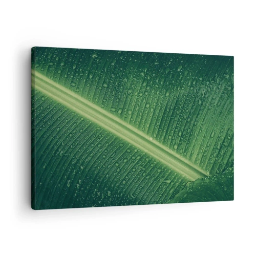 Obraz na płótnie - Zielony liść z kroplami wody na powierzchni - 70x50cm - Struktura zieleni - Nowoczesna dekoracja ścienna do salonu i sypialni ARTTOR