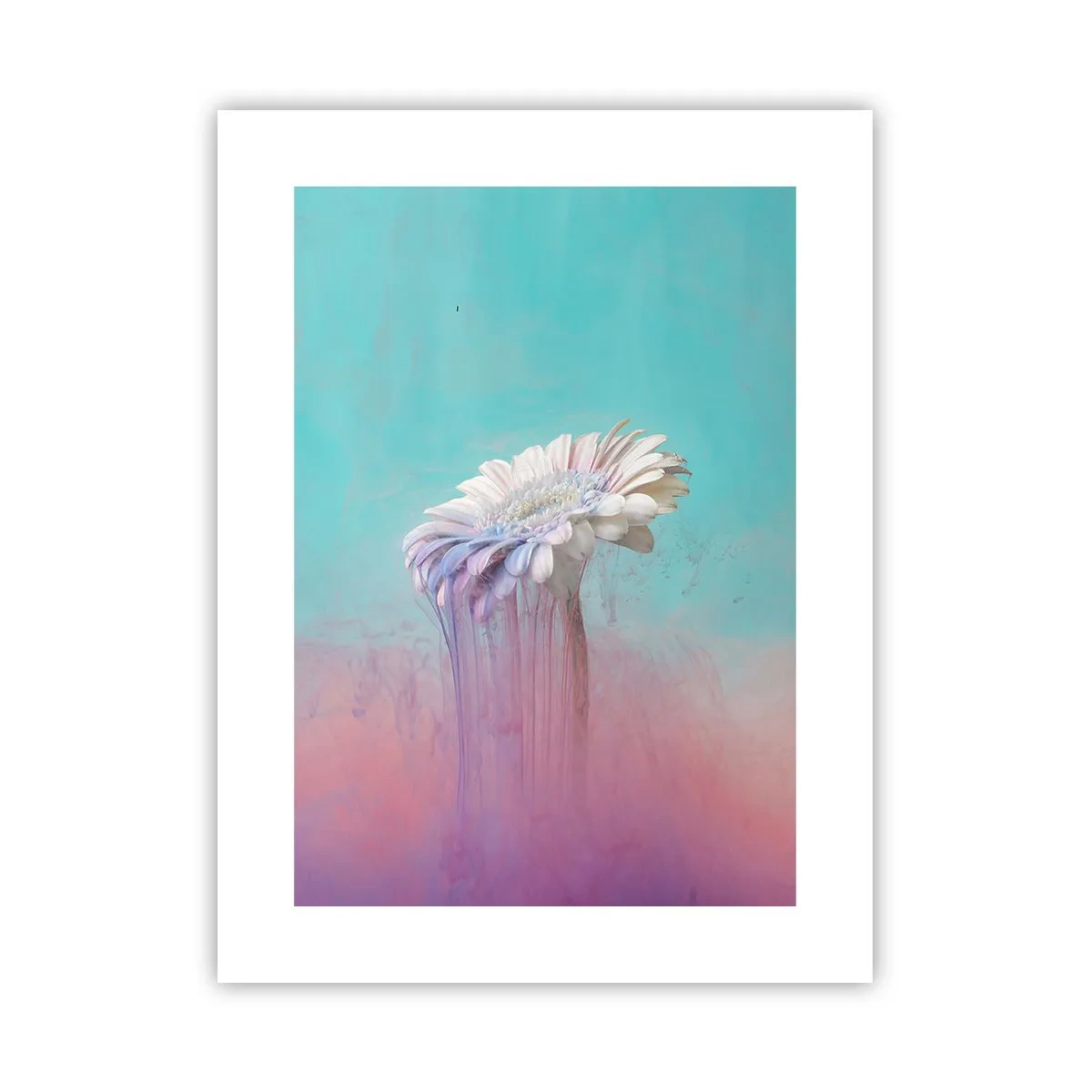 Plakat - Zaświaty kwiatów - 30x40 cm