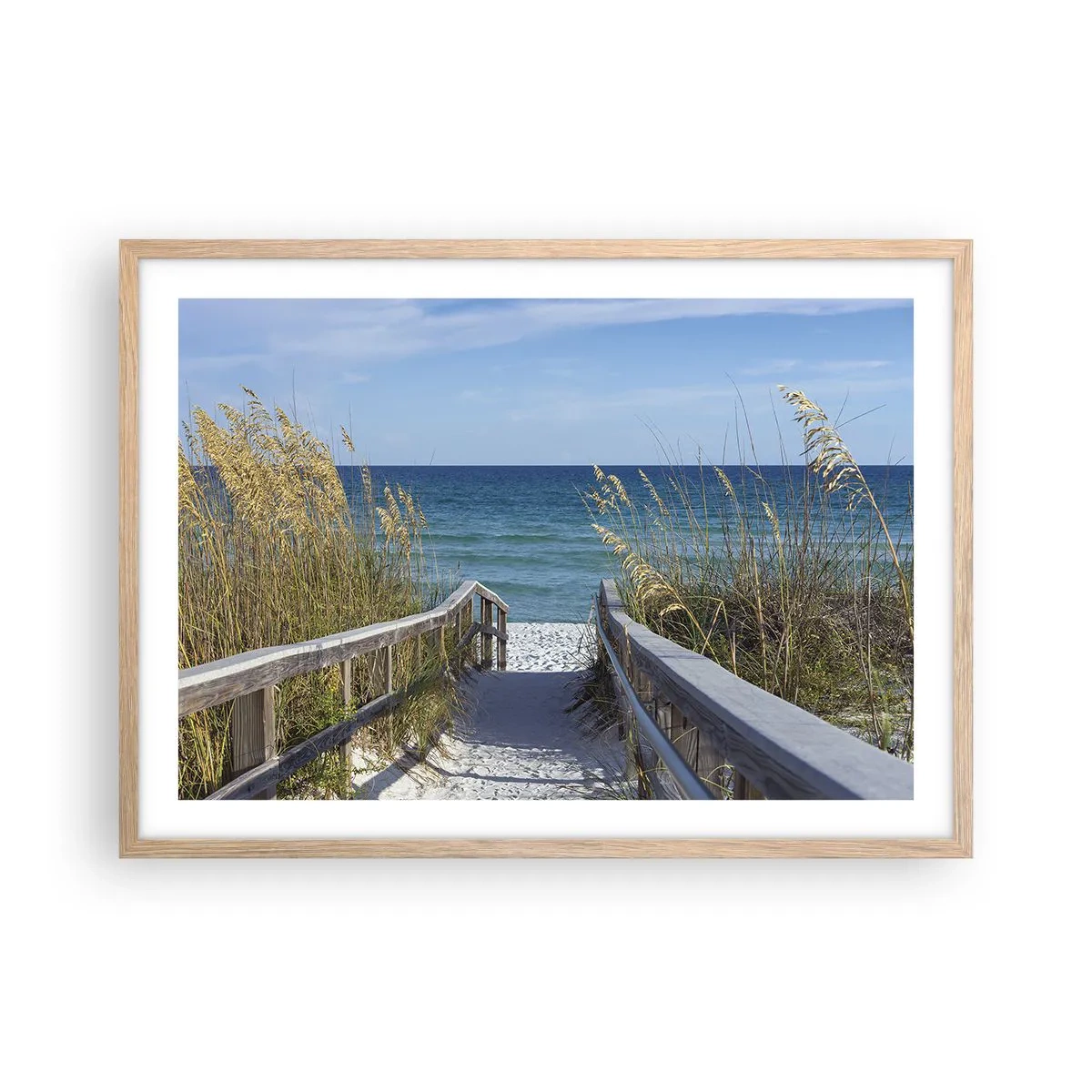 Plakat w ramie jasny dąb - W słońcu, na wietrze - 70x50 cm