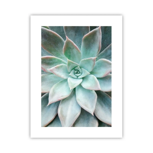 Plakat - Serce pustyni - 30x40 cm