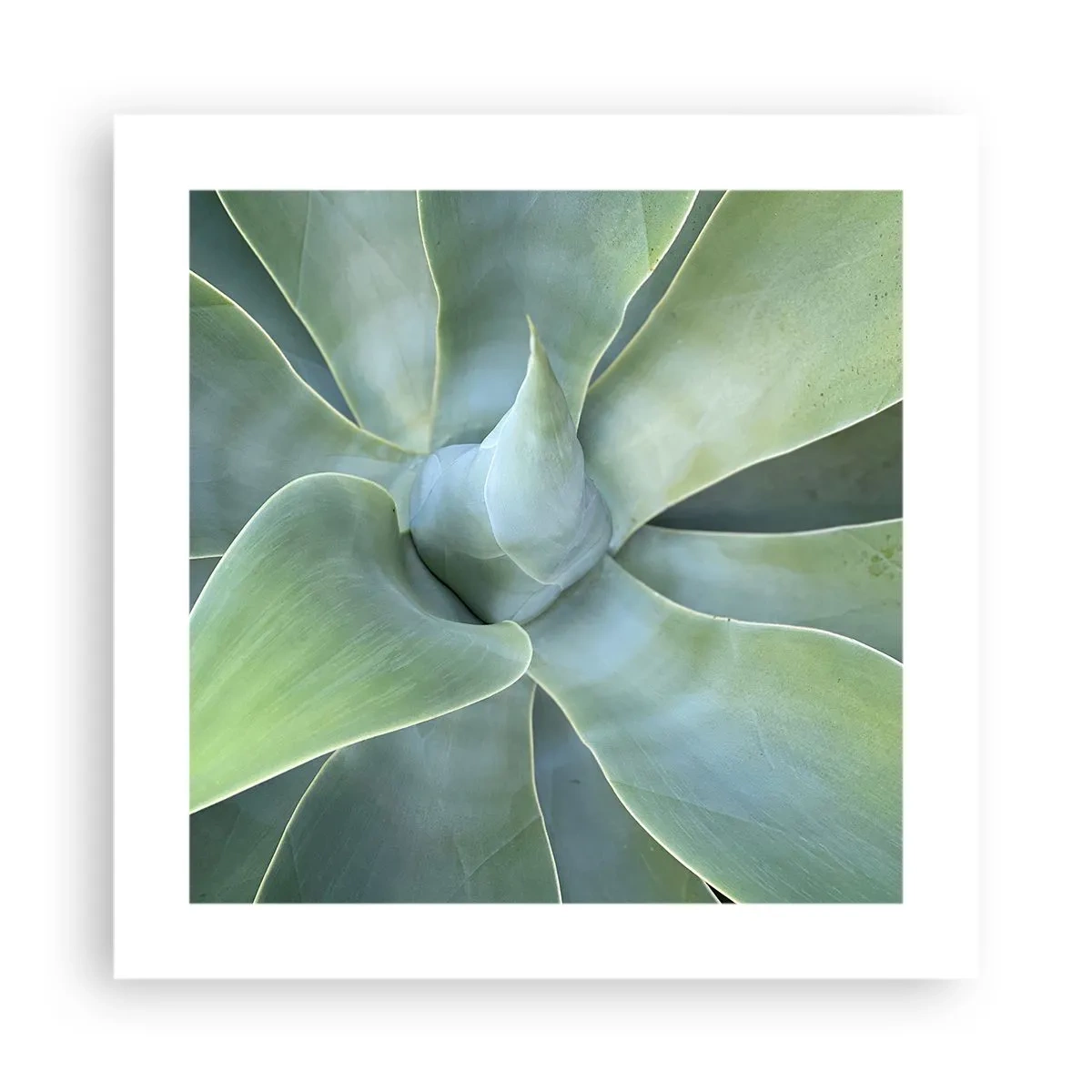 Plakat - Narodziny zieleni - 40x40 cm