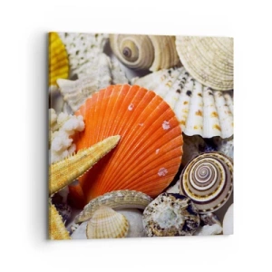 Obraz na płótnie - Skarby oceanu - 70x70 cm