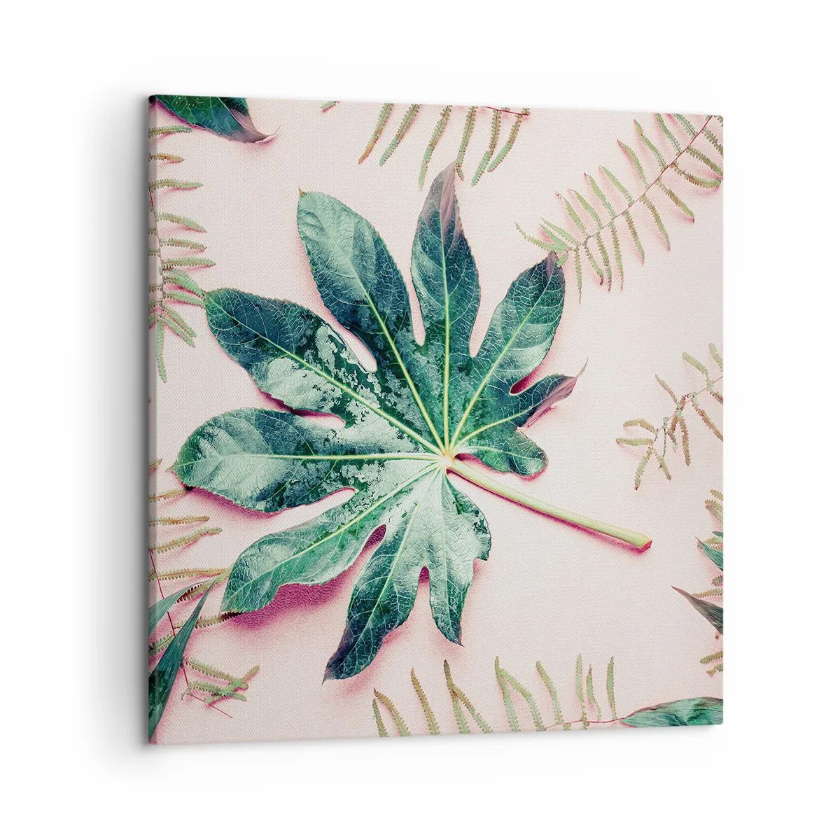 Obraz na płótnie - Studium zieleni na różowym tle - 50x50 cm