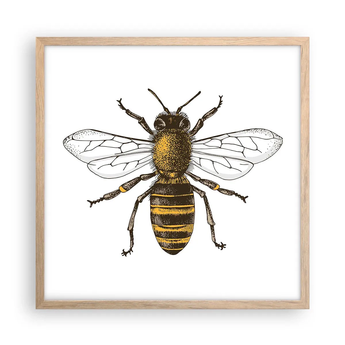 Plakat w ramie jasny dąb - Piękna i dobra - 50x50 cm