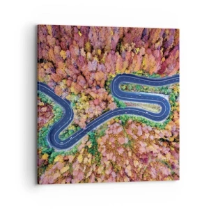 Obraz na płótnie - Krętą drogą poprzez las - 70x70 cm