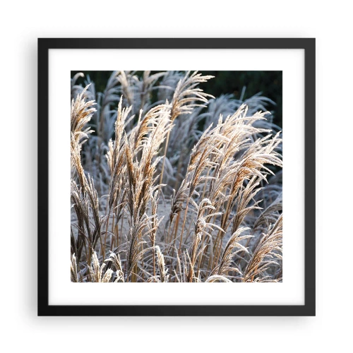Plakat w czarnej ramie - Szronem ustrojone - 40x40 cm
