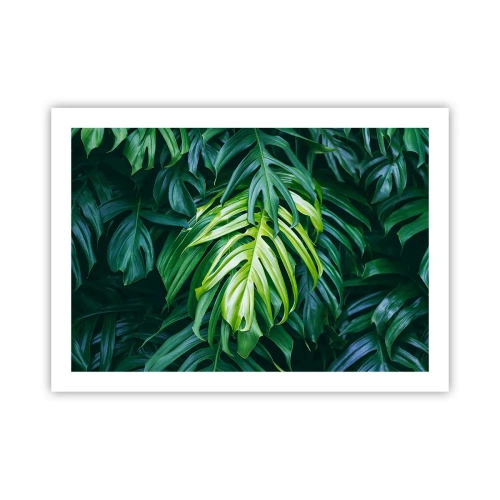 Plakat - Zanurzyć się w świeżości - 70x50 cm