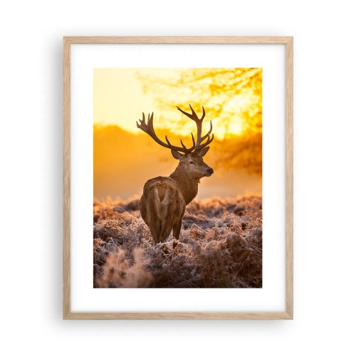 Plakat w ramie jasny dąb - Król jesiennego lasu - 40x50 cm