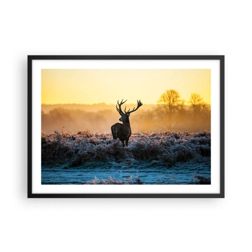 Plakat w czarnej ramie - Jeleń na mroźnej polanie o wschodzie słońca - 70x50cm - Koronowany na swoich włościach - Nowoczesna dekoracja ścienna do salonu i sypialni ARTTOR