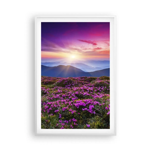 Plakat w białej ramie - Ziół zapachniały świeże pęki od niw - 61x91 cm