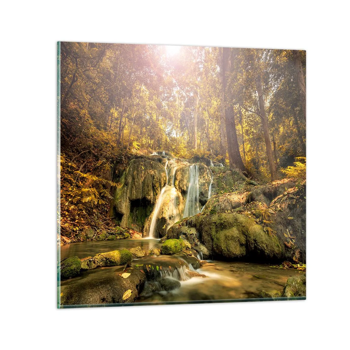 Obraz na szkle - Leśna kaskada w zieleni - 50x50 cm