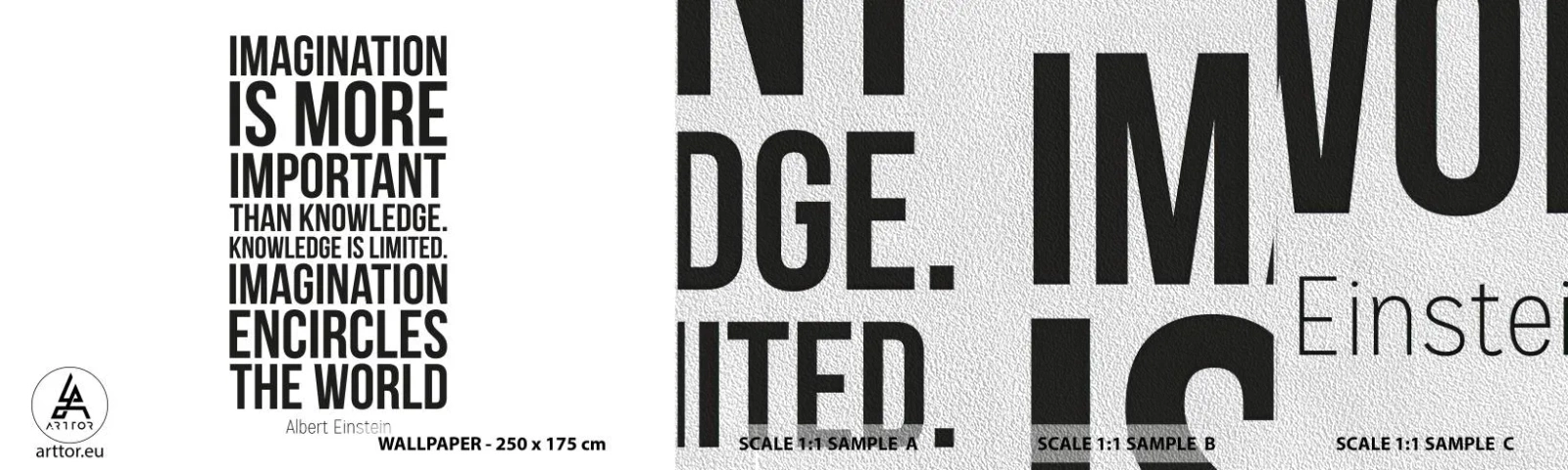 Fototapeta Próbka Premium Sand - Einstein o mocy wyobraźni - Typografia, Afirmacja, Maksyma - 100x30 cm