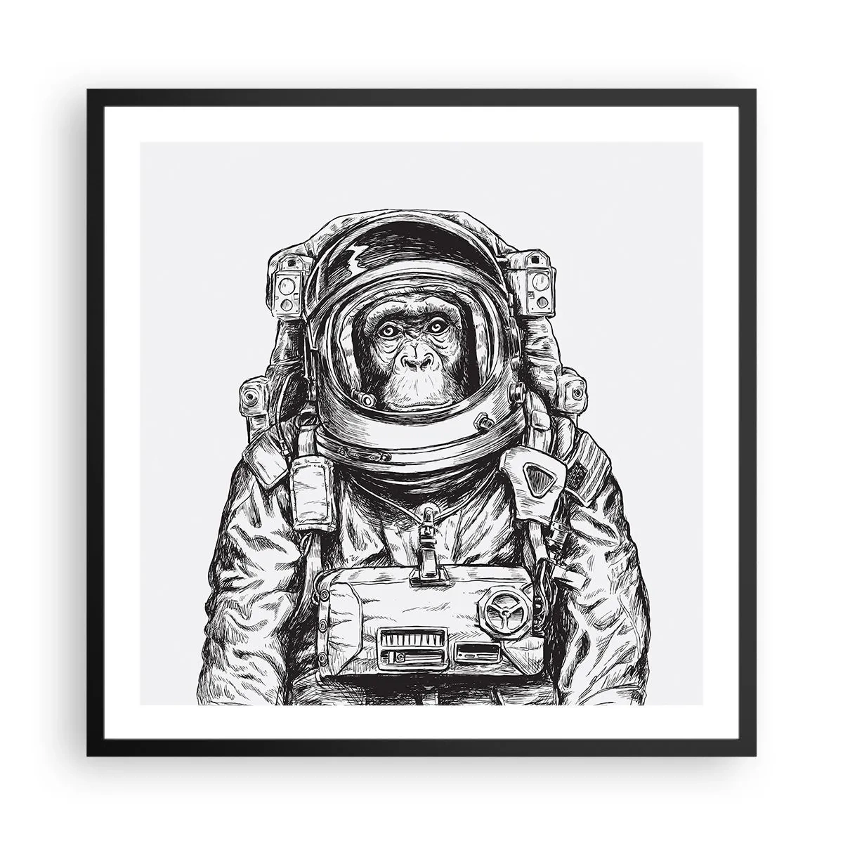 Plakat w czarnej ramie - Alternatywna ewolucja - 60x60 cm