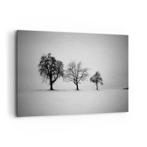 Obraz na płótnie - Trzy drzewa na zaśnieżonym polu w monochromatycznym stylu - 120x80cm - O czym śnią? - Nowoczesna dekoracja ścienna do salonu, kuchni i sypialni ARTTOR