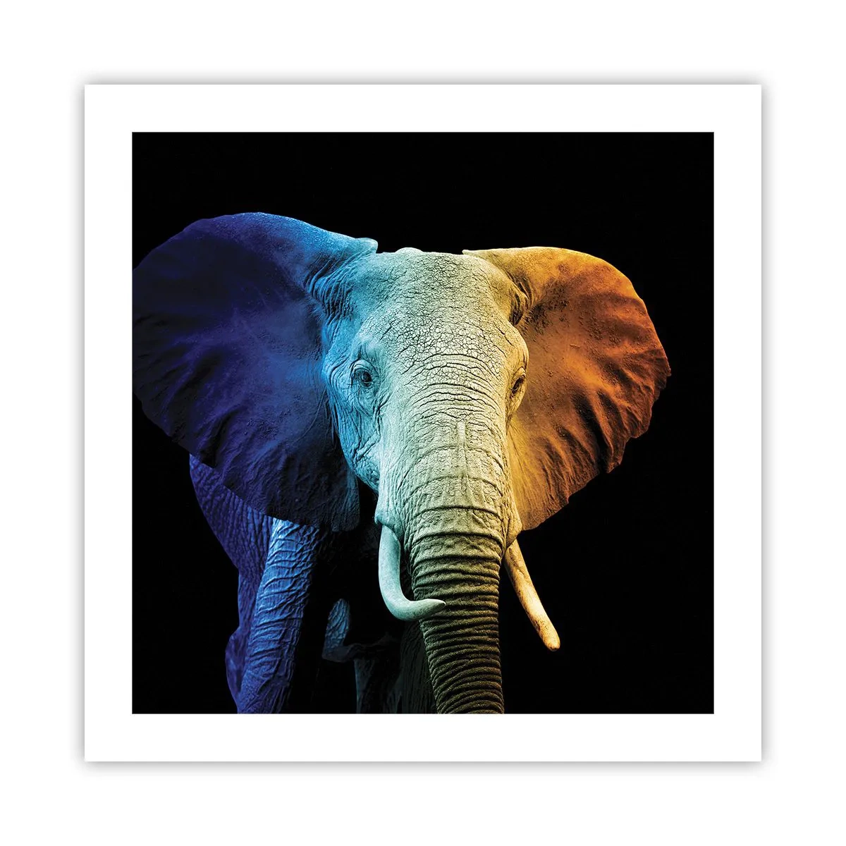 Plakat - Ekscentryk, nie dziwak - 50x50 cm