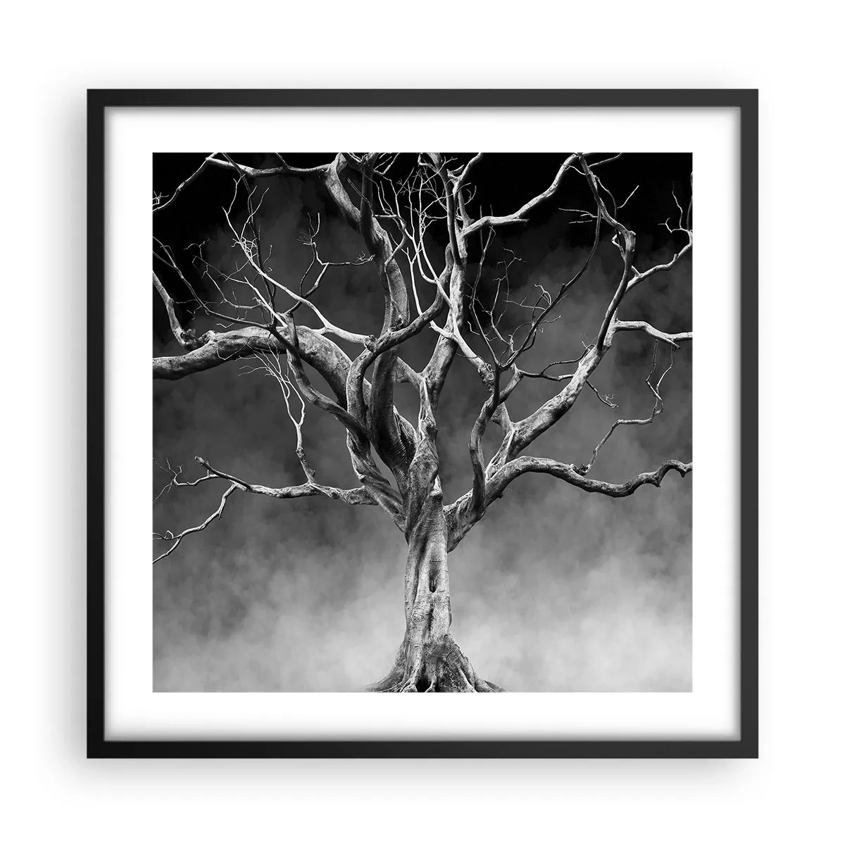 Plakat w czarnej ramie - Pierwotne i święte - 50x50 cm