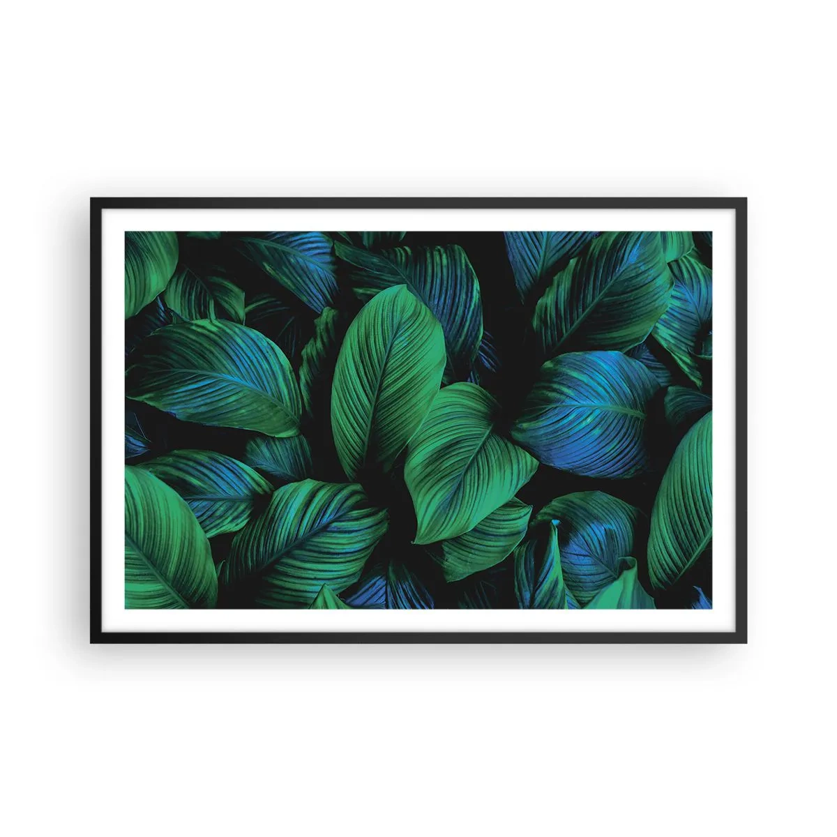 Plakat w czarnej ramie - W zielonym tłumie - 91x61 cm