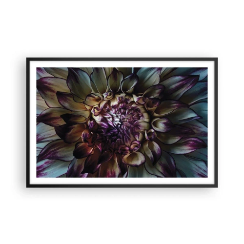 Plakat w czarnej ramie - Rozkwit młodości - 91x61 cm