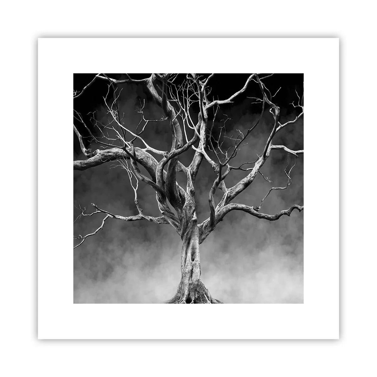 Plakat - Pierwotne i święte - 30x30 cm