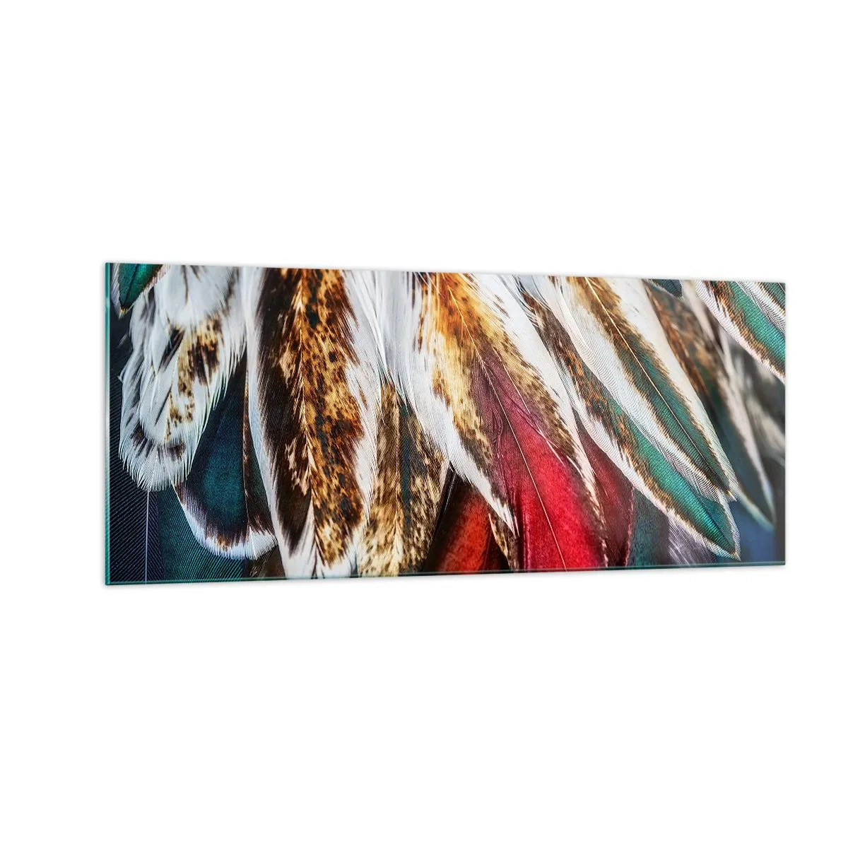 Obraz na szkle - Tajemnice lotu - 100x40 cm