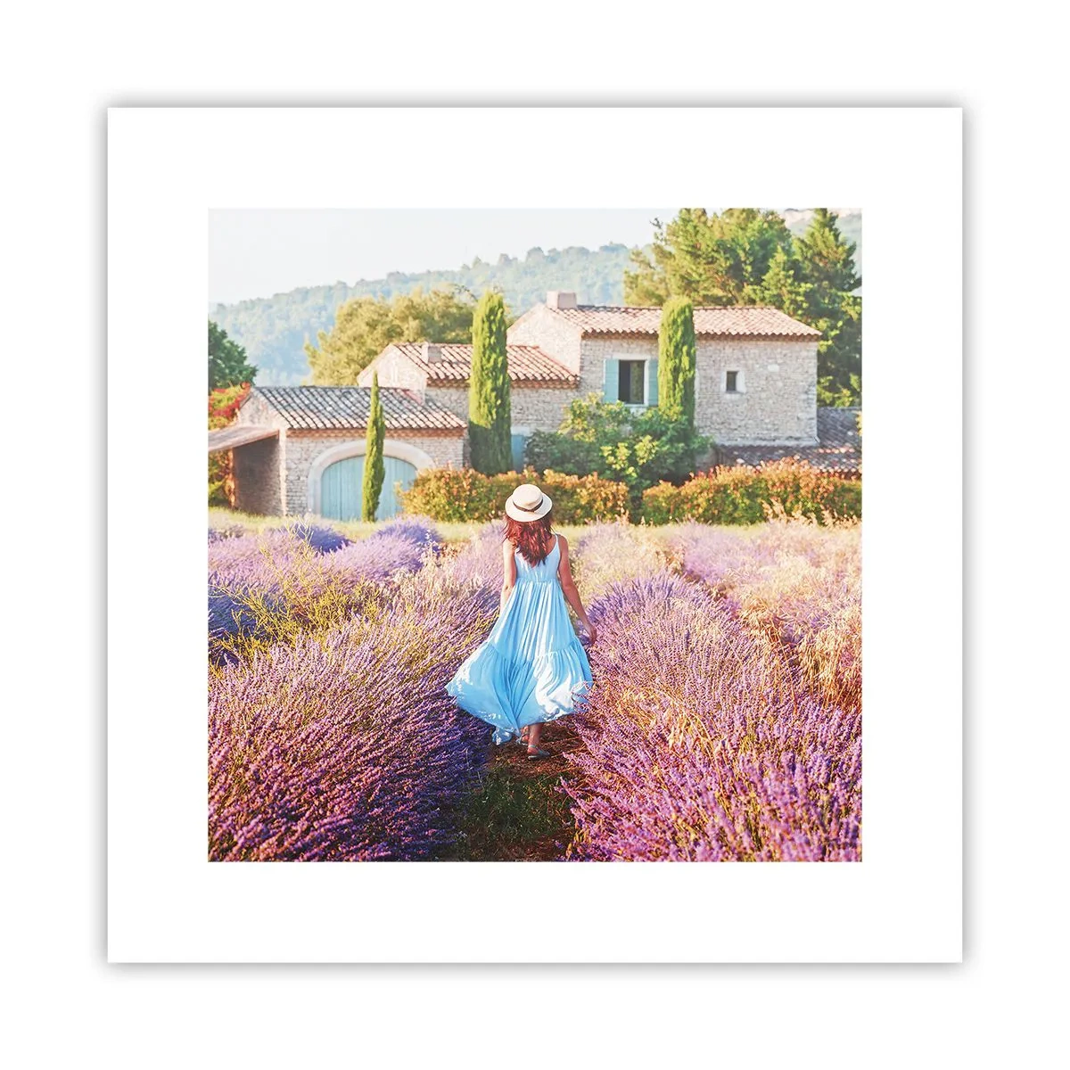 Plakat - Lawendowa dziewczyna - 30x30 cm