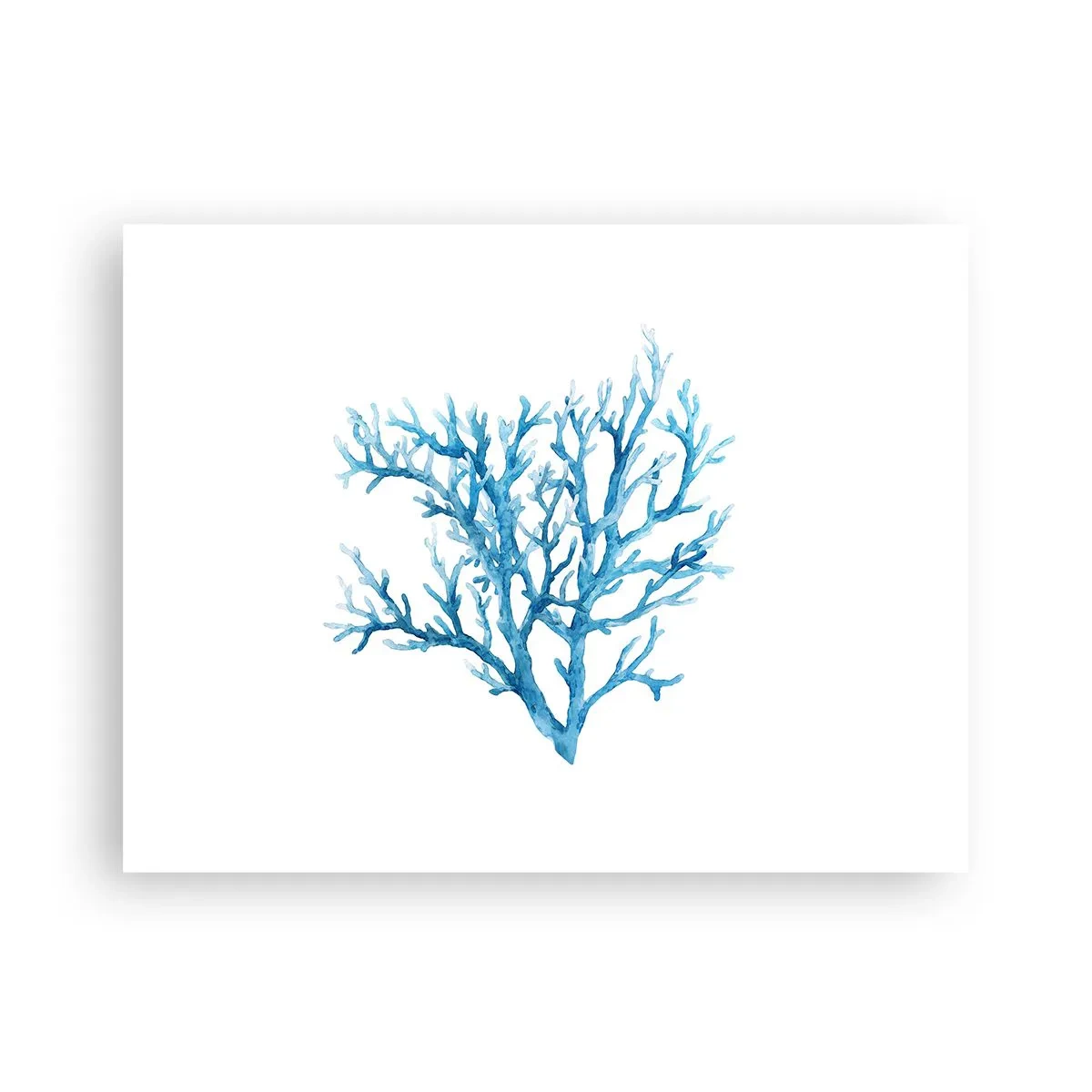 Plakat - Morski filigran - 40x30 cm