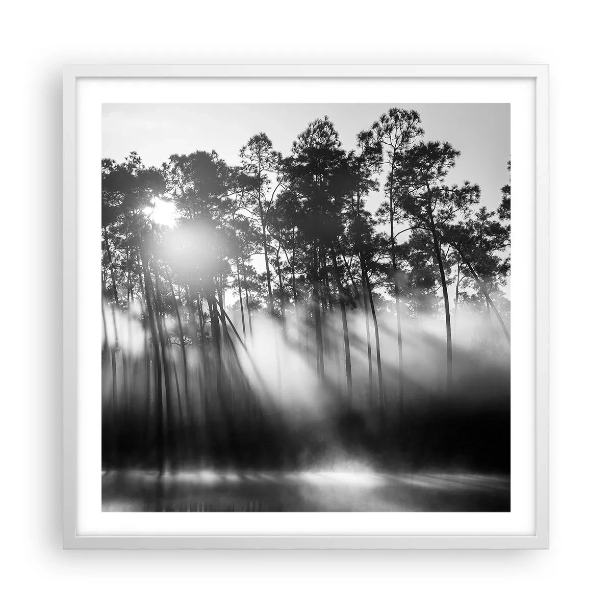 Plakat w białej ramie - Niepowstrzymane słońce - 60x60 cm