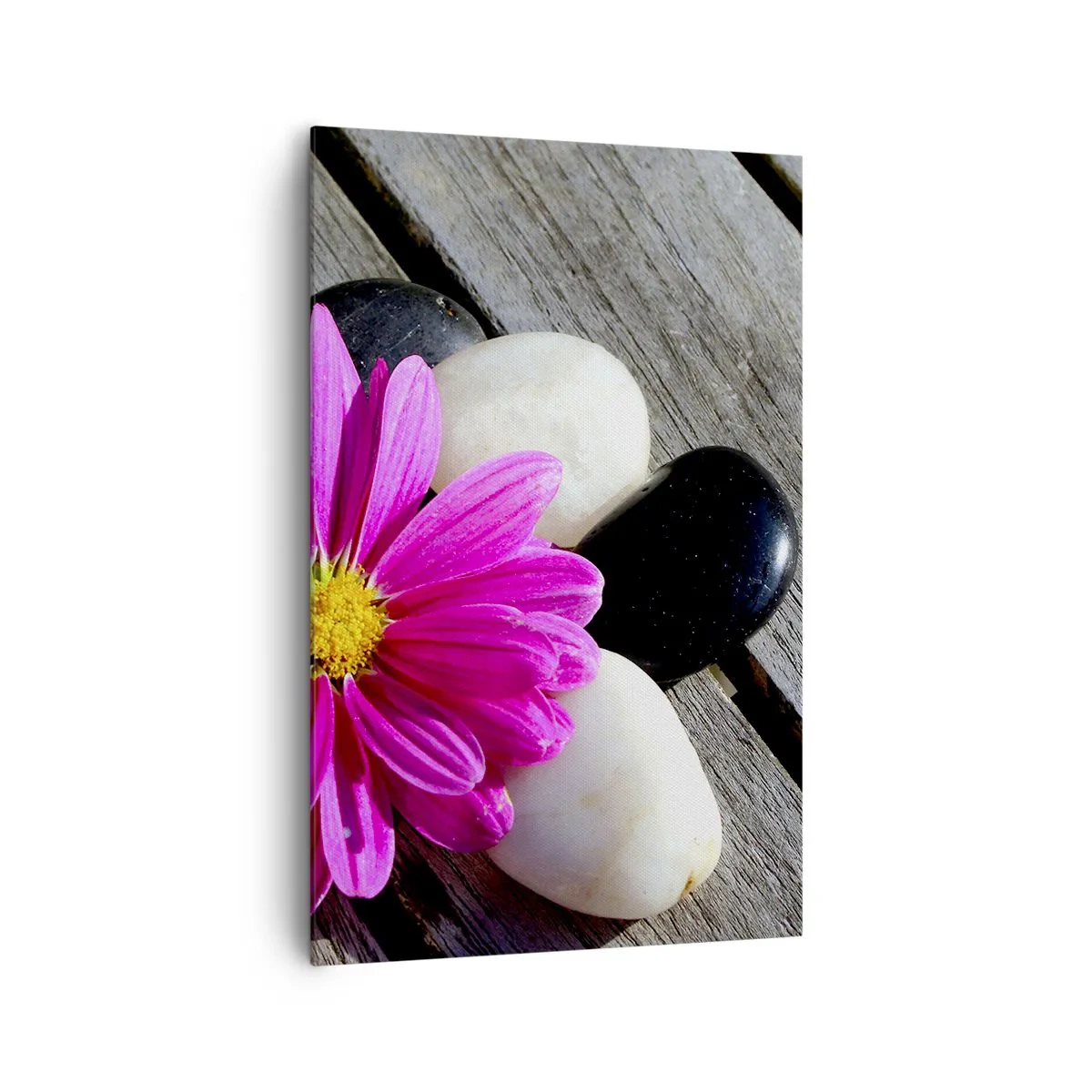 Obraz na płótnie - Różowy kwiat na tle drewnianych desek z kamieniami - 80x120cm - Odpoczynek na pomoście - Nowoczesna dekoracja ścienna do salonu i sypialni ARTTOR