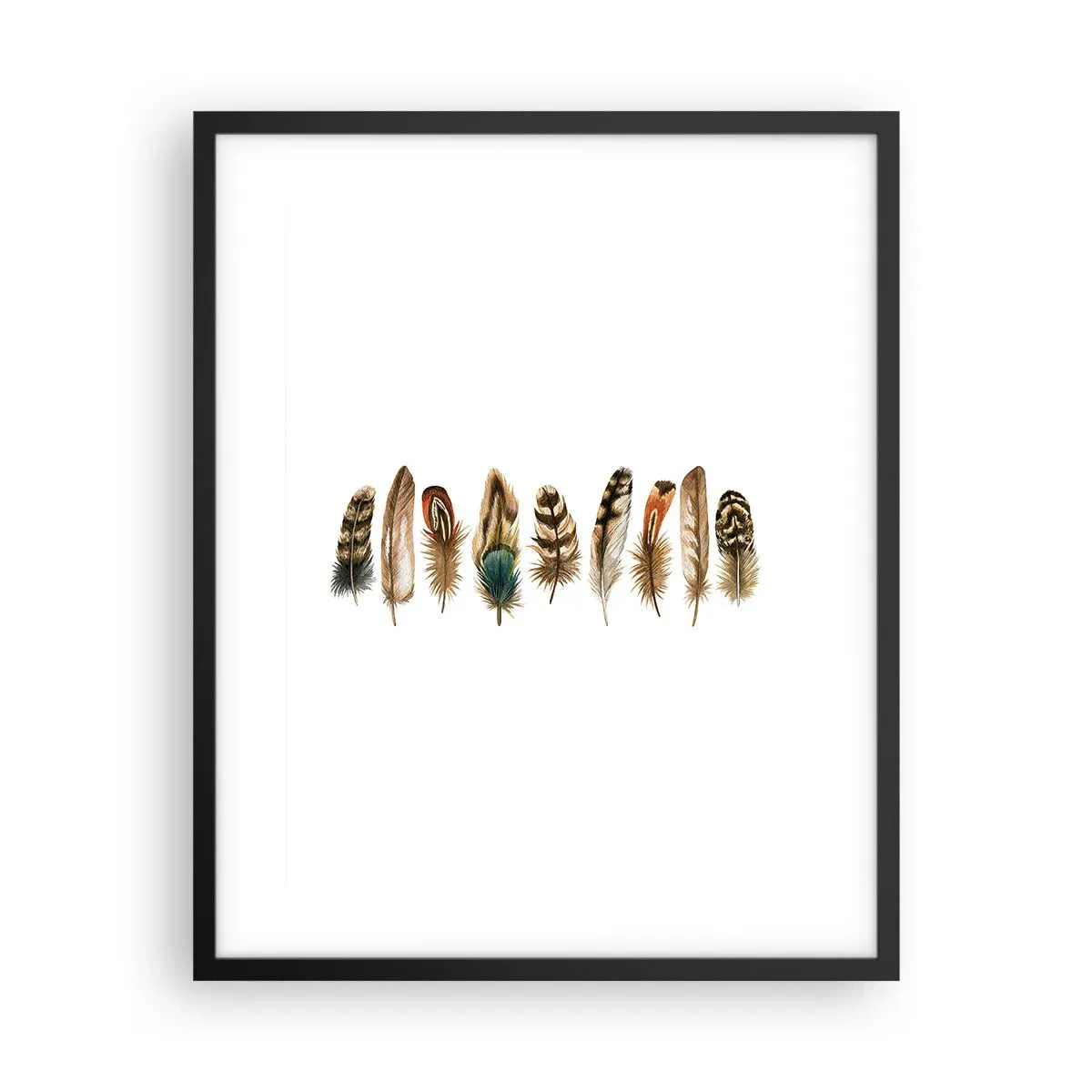 Plakat w czarnej ramie - Pierzasta wariacja - 40x50 cm