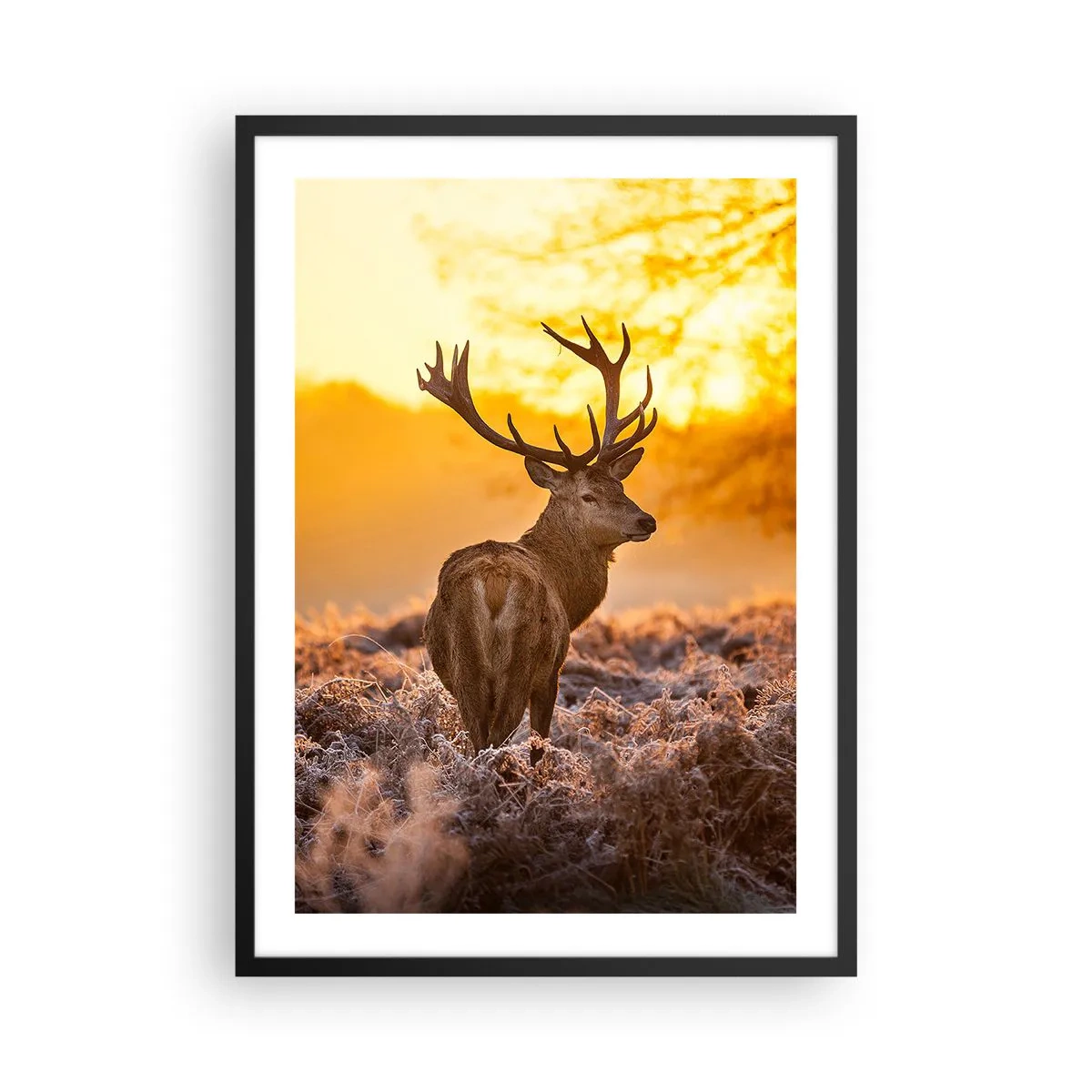 Plakat w czarnej ramie - Jeleń na tle złocistego wschodu słońca - 50x70cm - Król jesiennego lasu - Nowoczesna dekoracja ścienna do salonu i sypialni ARTTOR